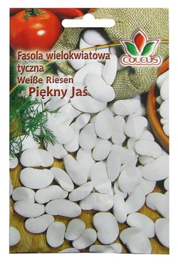 Fasola wielokwiatowa tyczna Piękny Jaś 10 g