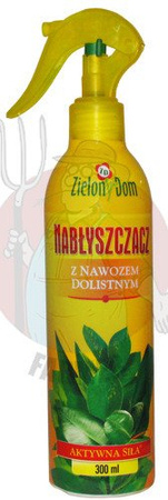 NABŁYSZCZACZ 300ml