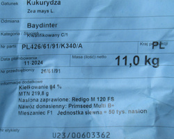 Kukurydza siewna Baydinter kwalifikat C1