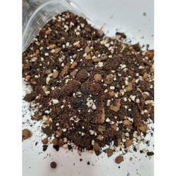 Podłoże do Hoya, Peperomia, Zamioculcas 5 L (...4145) Urban Jungle