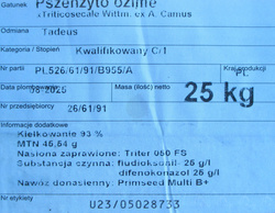 Pszenżyto ozime Tadeus