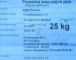Pszenica jara KWS Dorium nasiona kwalifikat C1