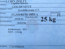 Łubin żółty Goldeneye kwalifikat C1