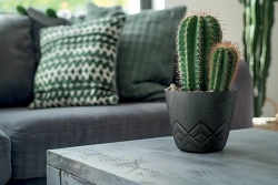 Doniczka Areco beton effect antracyt DARE300E-S433 Prosperplast