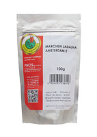 Marchew jadalna Amsterdam 2 100 g PNOS