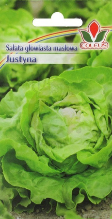 Sałata głowiasta masłowa Justyna 1 g