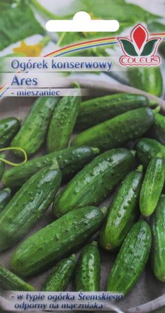 Ogórek konserwowy Ares 5 g nasiona Coleus