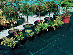 Agrowłóknina czarna WIGOFIL 1,6 × 10 m – ściółkująca i ochronna