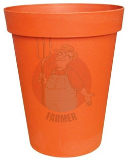 PALMÓWKA 17 TERAKOTA