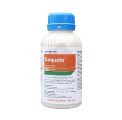 Sequoia 0,5 L