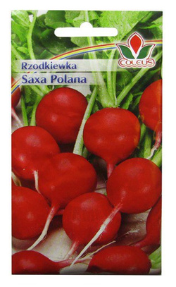 RZODKIEWKA SAXA POLANA 10g