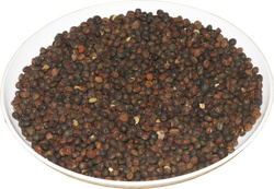 Wyka paszowa (cena za kg)