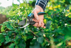 Sekator nożycowy ERGO