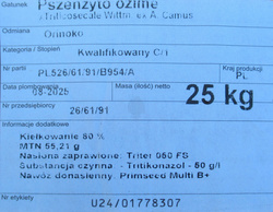 Pszenżyto Orinoko