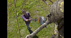 Nożyce teleskopowe Comfort do gałęzi i krzewów StarCut 410 plus