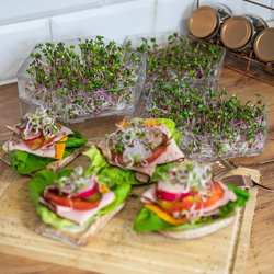 Kiełkownica wielopoziomowa Niezłe Ziółko - Zestaw (745750)