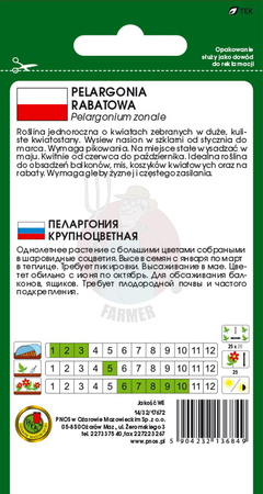 Pelargonia rabatowa F1 różowa 10 z