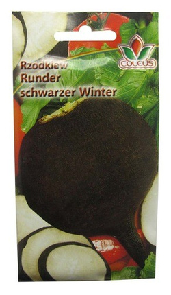 RZODKIEW RUNDER SCHWARZER WINTER 10g