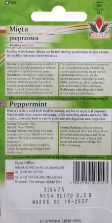 Mięta pieprzowa nasiona 0,2 g Coleus