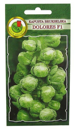KAPUSTA BRUKSELSKA DOLORES F1 0,5g