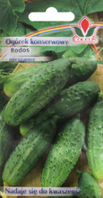 Ogórek konserwowy Rodos 5 g nasiona Coleus