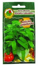 SZAŁWIA LEKARSKA 1g