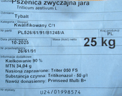 Pszenica Tybalt (przewódka)