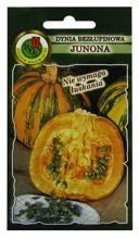 DYNIA BEZŁUPINOWA JUNONA 5g