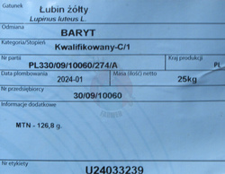 Łubin żółty Baryt