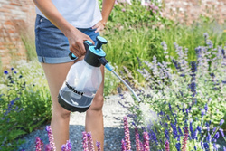 Opryskiwacz ciśnieniowy 1,5 L 42-215 Cellfast