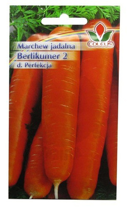 MARCHEW JADALNA BERLIKUMER 2 5g