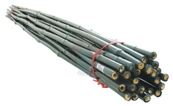 Tyczka bambusowa powlekana zielona 150 cm 12-14 mm