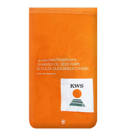 Rzepak ozimy Umberto KWS F1