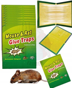 Pułapka lepowa na myszy i szczury