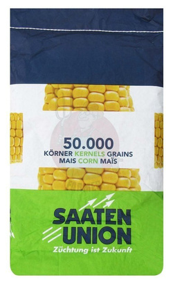 Maize Piaff qualification C1 + Korit 420 FS