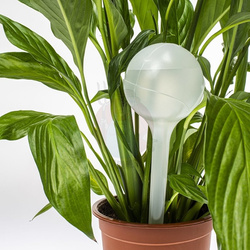 Kule nawadniające do roślin - 2 szt. 400 ml