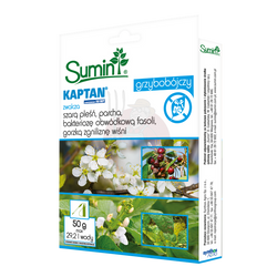 KAPTAN ZAWIESINOWY 50 WP 50 g