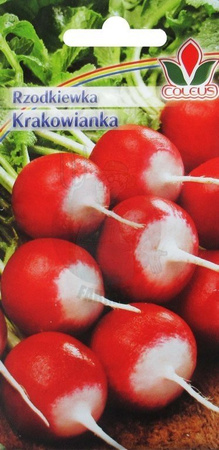 RZODKIEWKA KRAKOWIANKA 10g