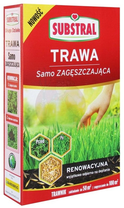 Trawa Samozagęszczająca Renowacyjna 1 kg