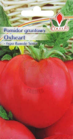 Pomidor gruntowy Oxheart - typu bawole serce 0,3 g