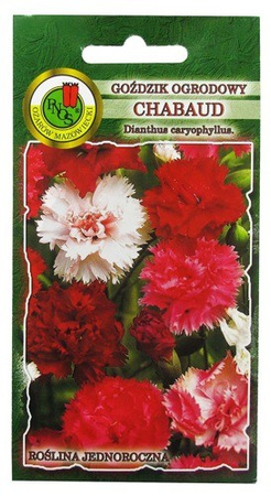 GOŹDZIK OGRODOWY CHABAUD MIESZANY 0,3g