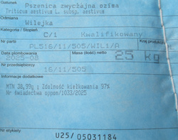 Pszenica oścista Wilejka nasiona kwalifikat C1