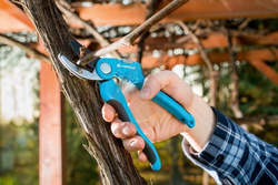 Sekator kowadełkowy IDEAL