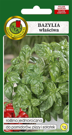 Bazylia właściwa zielona Genovese 1 g