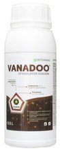 Vanadoo 0,5 L Intermag