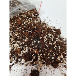 Podłoże do Begonia, Syngonium, Fiołek 5 L Urban Jungle (...4206)