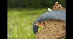 Wąż tekstylny Liano Xtreme 19 mm (3/4"), 20 m