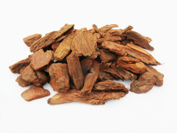 Kora do terrarium 10 L