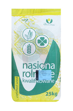 Pszenżyto ozime Tadeus