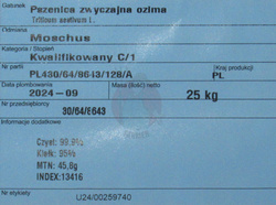 Pszenica ozima Moschus